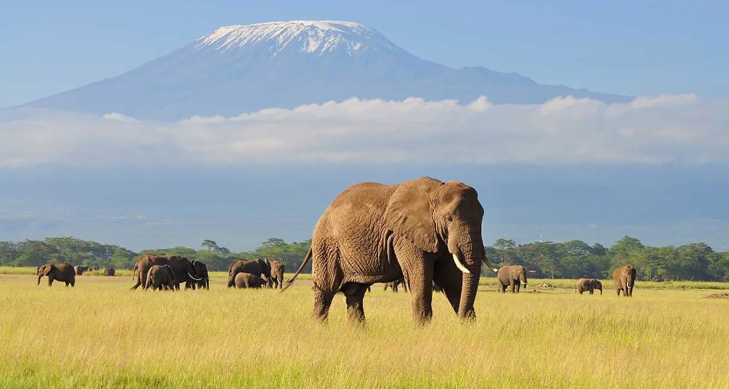 kenya tour packages from india