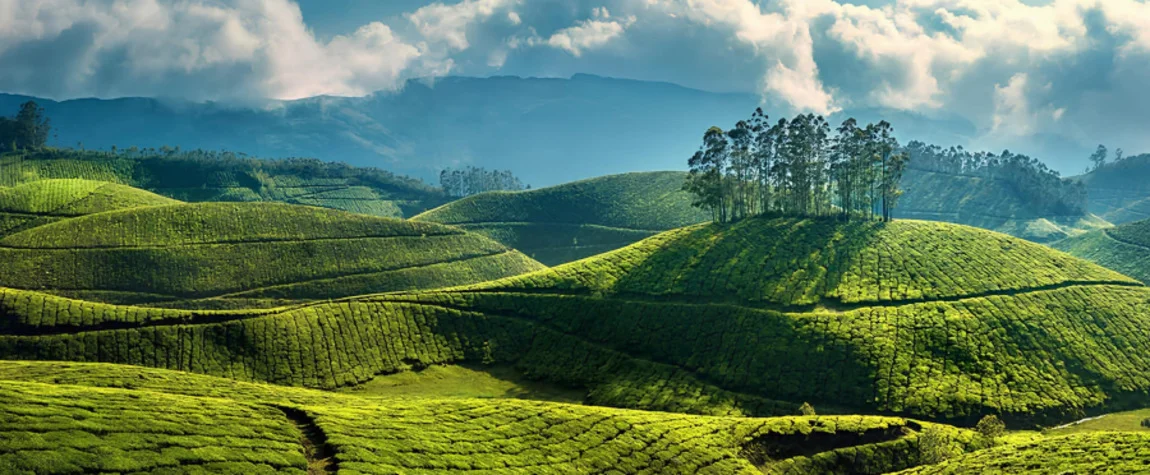 Tourist Places of Munnar
