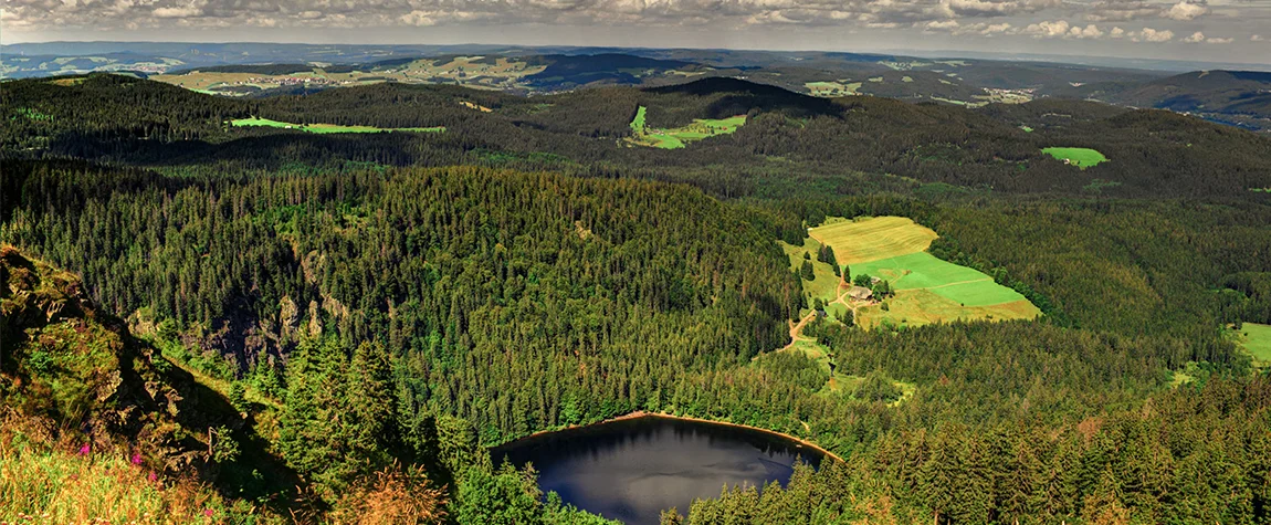 The Interesting Facts you need to know about Black Forest in Germany