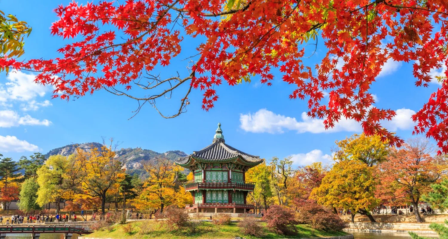 South korea tour packages from India