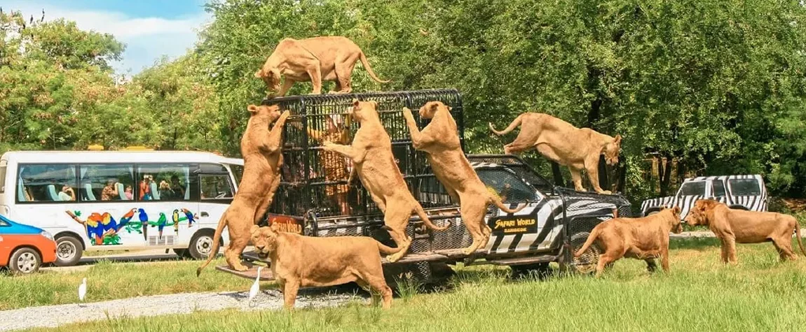 Places to Visit in Bangkok