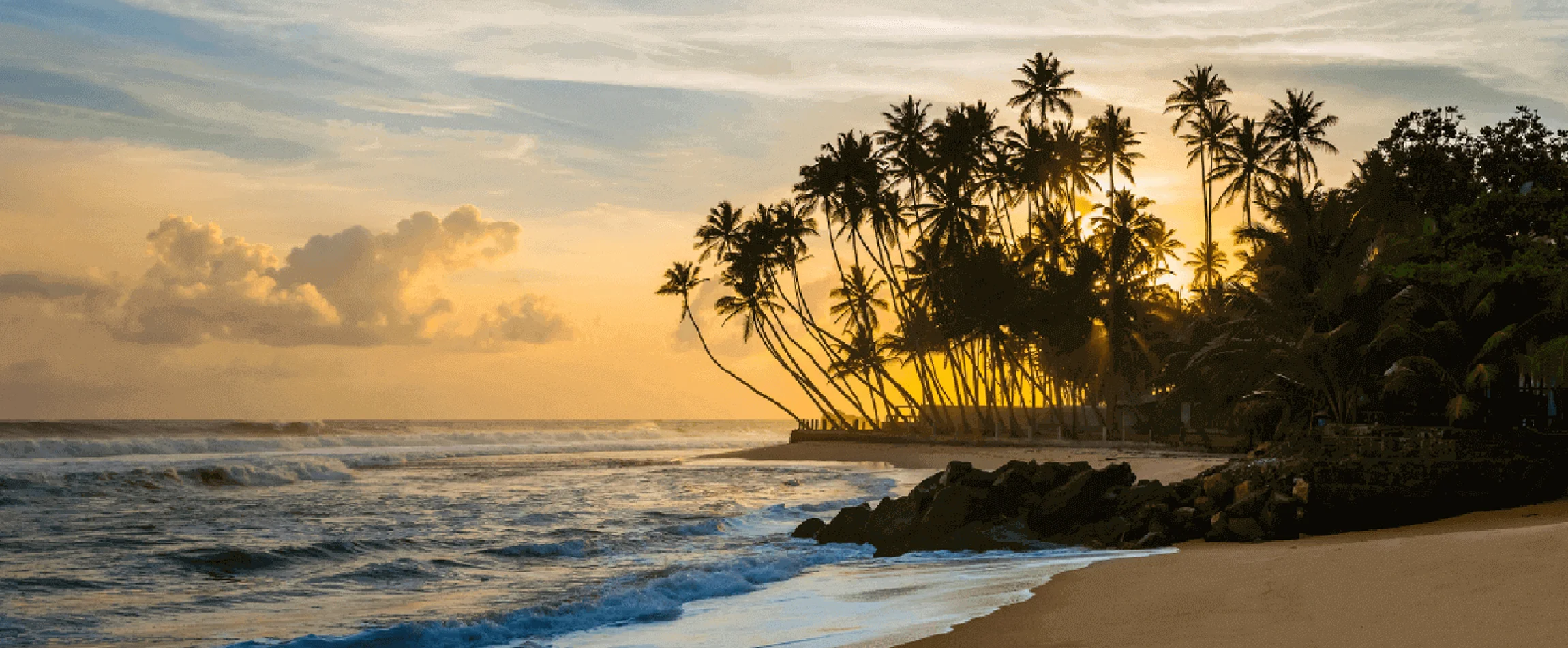 Reasons to Choose Sri Lanka