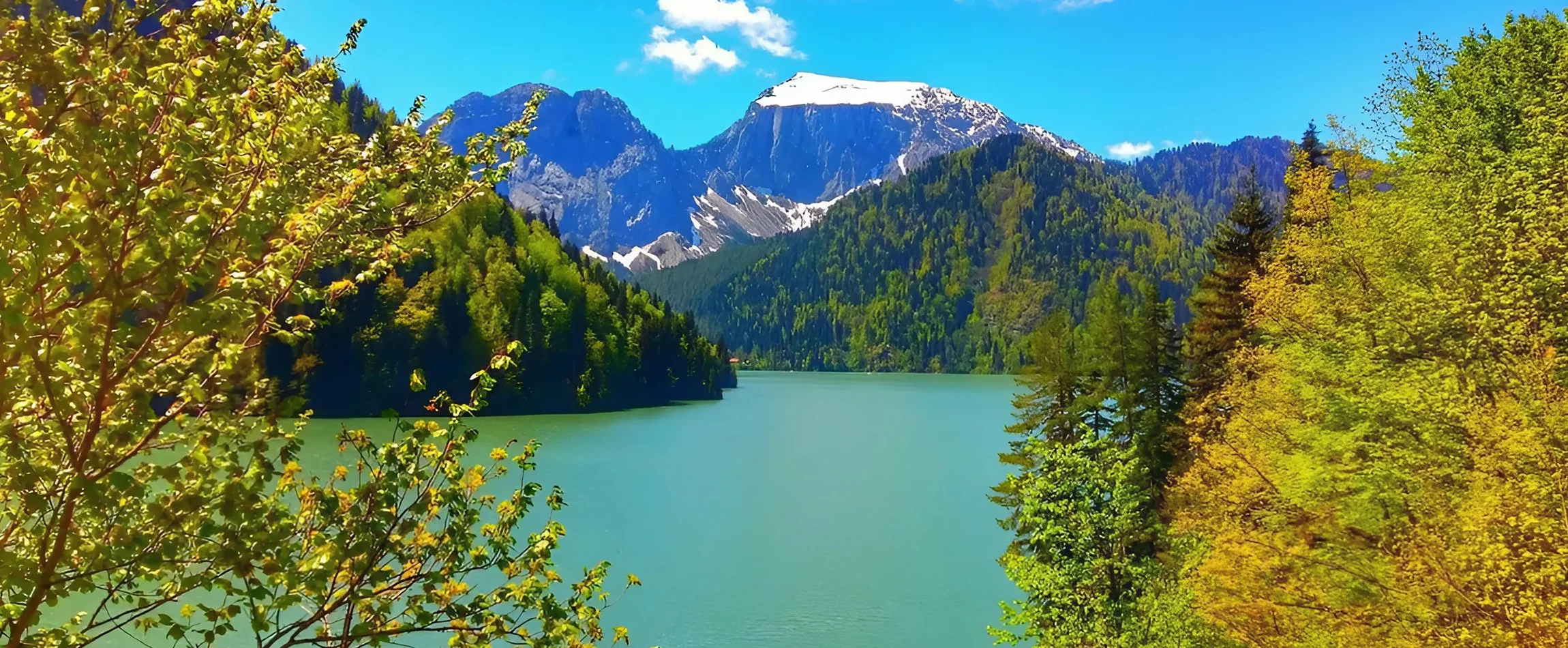 Activities to do in Georgia