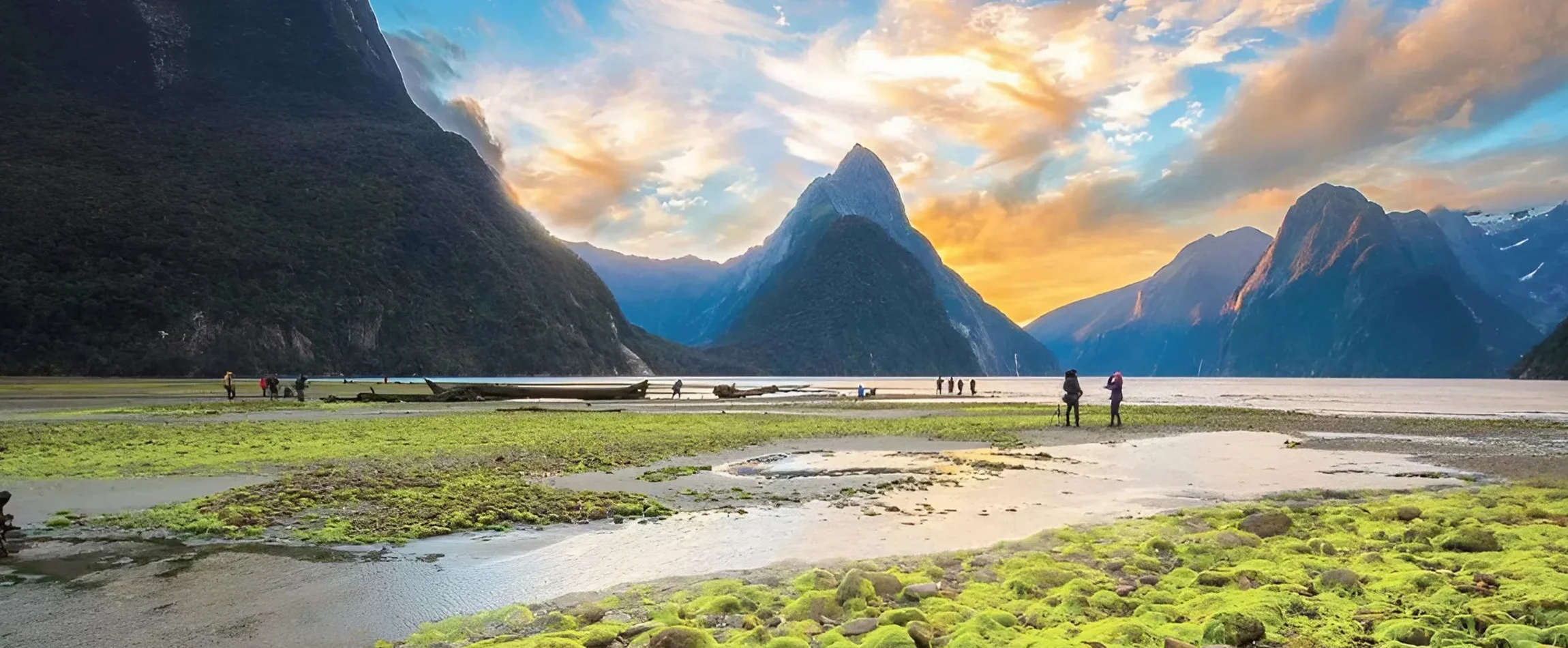 Best Time to Visit New Zealand