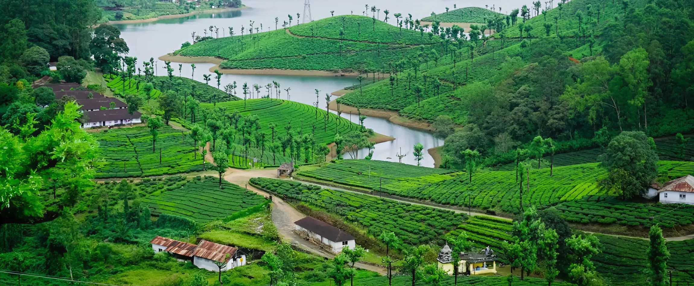 Best Season to visit Valparai